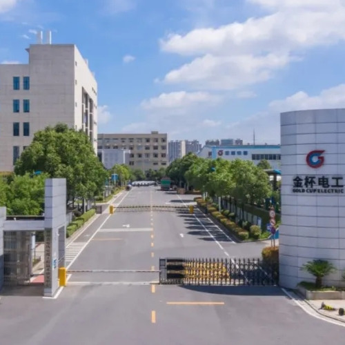 金杯电工股份有限公司.jpg