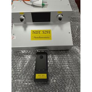 意大利ELITE NDT荧光光度计NDT S291