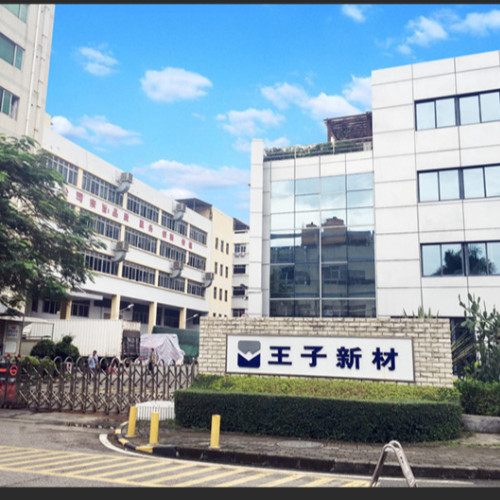 海南王子新材投资有限公司.jpg