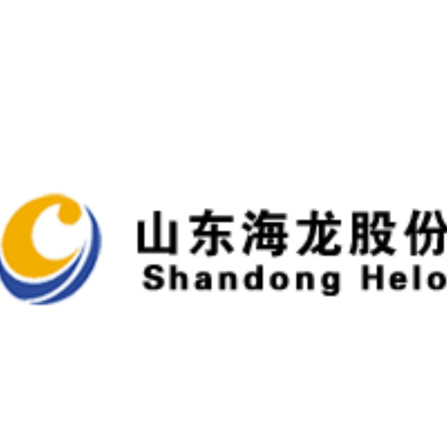 恒天海龙股份有限公司