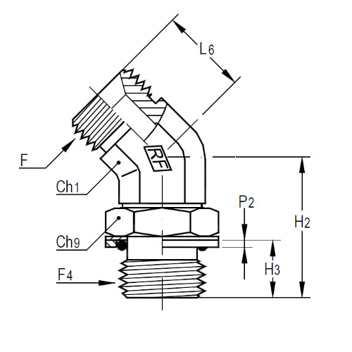 意大利RACFLUID 60° BSP 锥形密封管件4VO-1