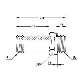 意大利RACFLUID 60° BSP 锥形密封管件4MA-1-3/4