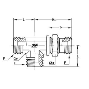 意大利RACFLUID 60° BSP 锥形密封管件4TUPD-1/8