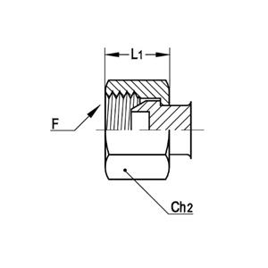 意大利RACFLUID 60° BSP 锥形密封管件4JF-1/8