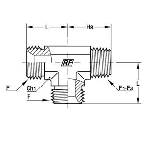 意大利RACFLUID 60° BSP 锥形密封管件4TD1-1/8