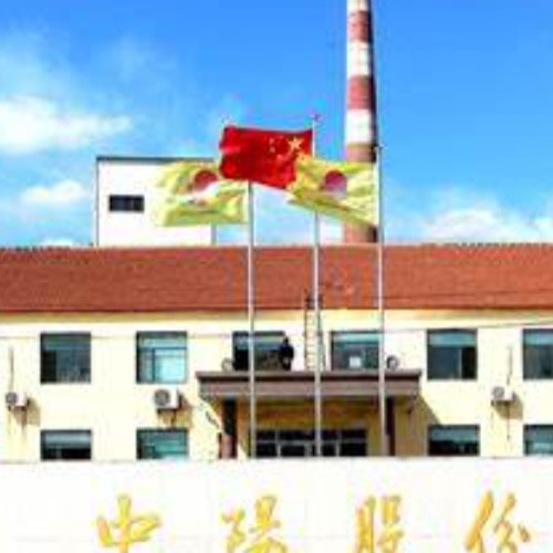山东中阳新材料科技股份有限公司