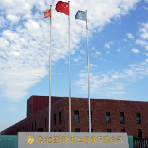 合肥国轩高科动力能源有限公司.jpg