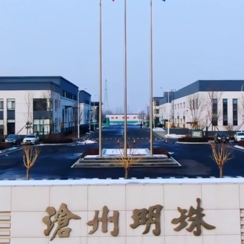 沧州明珠塑料股份有限公司
