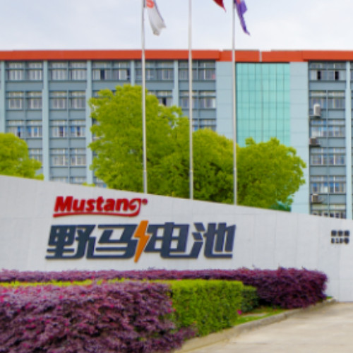 浙江野马电池股份有限公司.jpg