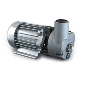 BUSCH普旭R5 PB 0004/0008 C真空泵