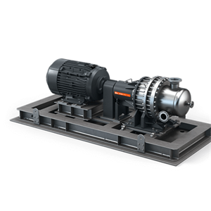 BUSCH普旭DOLPHIN LN 3001 A 液环压缩机