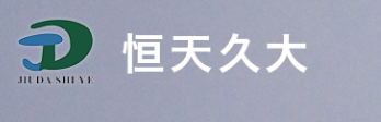 河南恒天久大实业有限公司