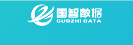 安徽国智数据技术有限公司
