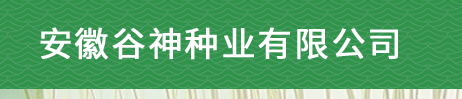 安徽谷神种业有限公司